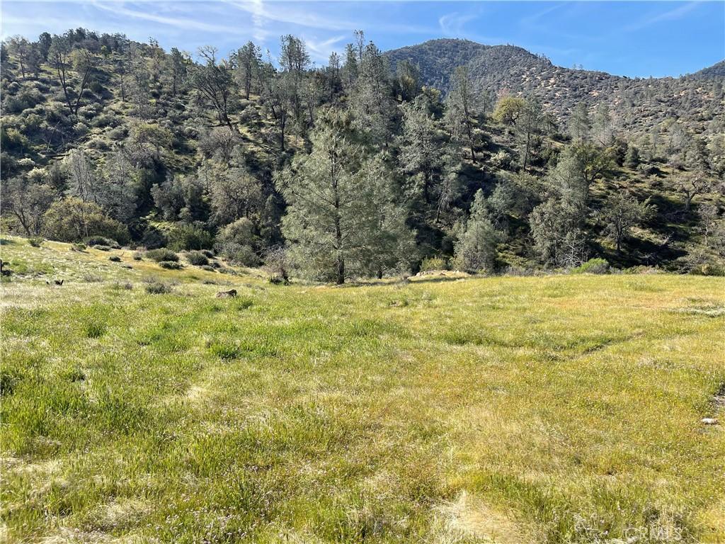 0 Back Canyon Rd, Caliente, CA 93518