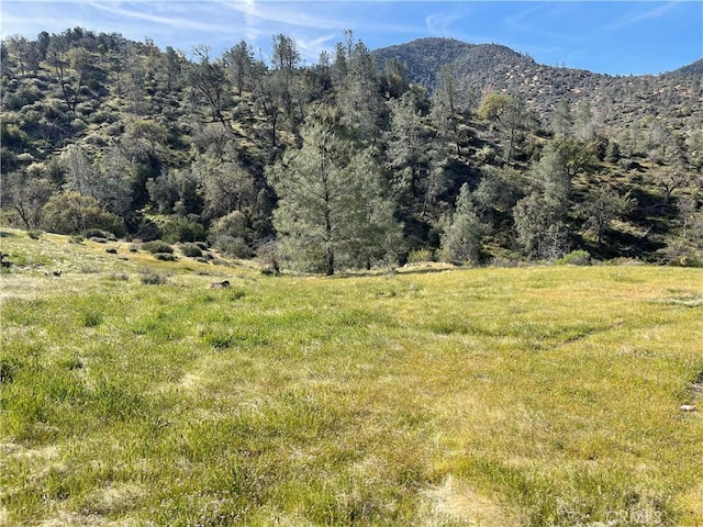 0 Back Canyon Rd, Caliente, CA 93518