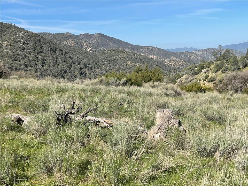 0 Back Canyon Rd, Caliente, CA 93518