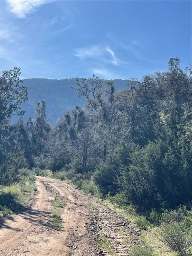 0 Back Canyon Rd, Caliente, CA 93518