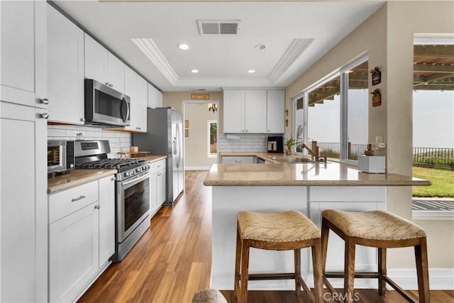 3074 Mountain Top Dr, Highland, CA 92346 - kitchen featuring appliances with stainless steel finishes, a sink, healthy amount of natural light, a raised ceiling, and recessed lighting