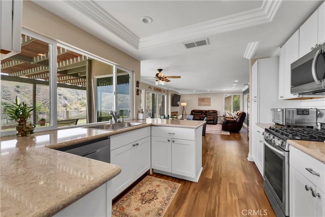 3074 Mountain Top Dr, Highland, CA 92346 - kitchen featuring appliances with stainless steel finishes, a sink, light wood finished floors, a raised ceiling, and recessed lighting
