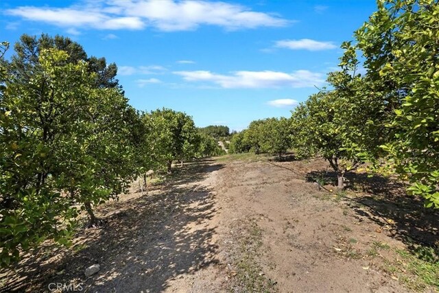 40951 Parado Del Sol Dr, Temecula, CA 92592 - photo 70