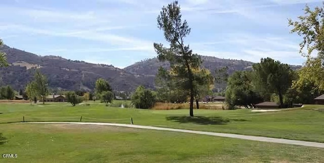 21860 Buckthorne Ct, Tehachapi, CA 93561 - photo 65