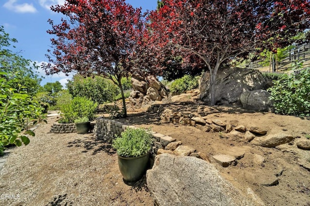 21860 Buckthorne Ct, Tehachapi, CA 93561 - photo 54