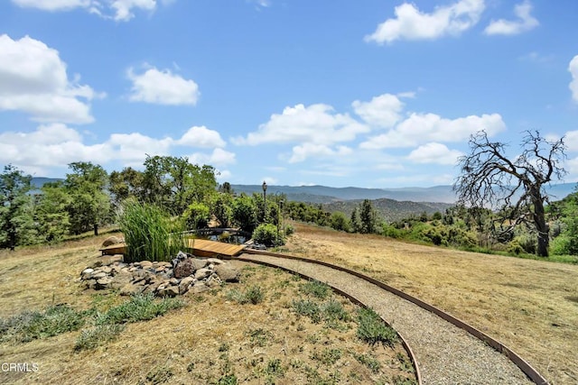 21860 Buckthorne Ct, Tehachapi, CA 93561 - photo 52