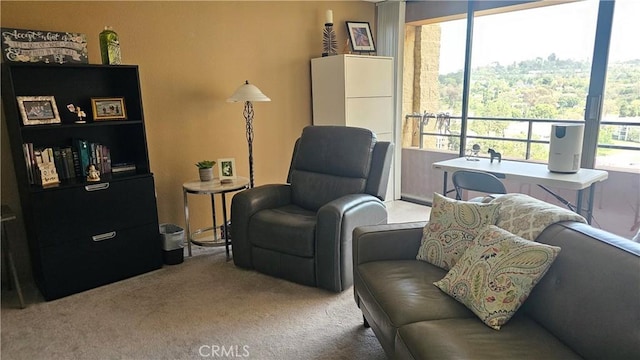 24055 Paseo Del Lago Unit 1012, Laguna Woods, CA 92637 - living area with light carpet