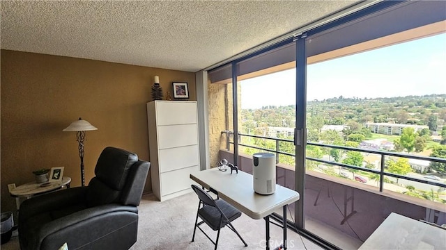 24055 Paseo Del Lago Unit 1012, Laguna Woods, CA 92637 - office area featuring light carpet, a wall of windows, and a textured ceiling