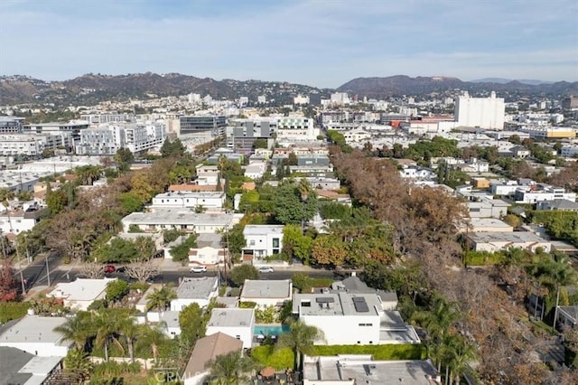 753 N Orange Dr, Los Angeles, CA 90038 - photo 42