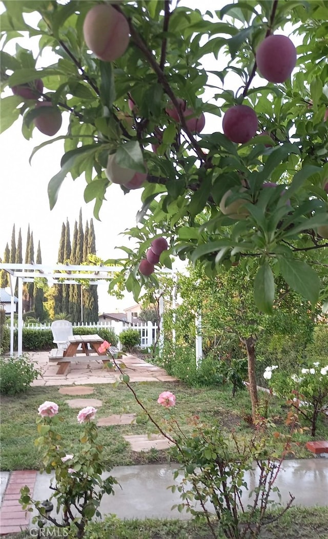 1717 Morning Sun Ave, Walnut, CA 91789 - view of yard