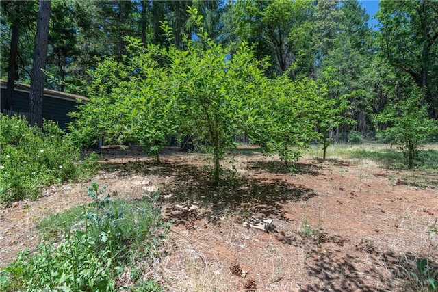 5283 Deer Trl, Forest Ranch, CA 95942 - photo 46