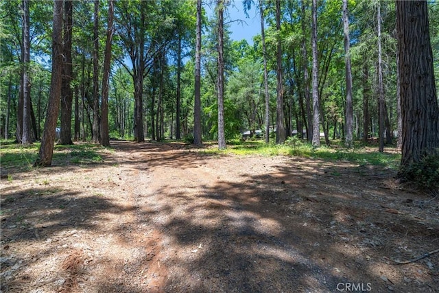 5283 Deer Trl, Forest Ranch, CA 95942 - photo 51