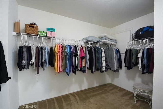 178 Grapevine Dr, Corona, CA 92882 - walk in closet with carpet
