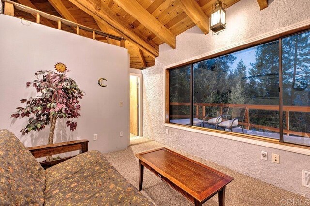 53580 Jeffery Pine Rd, Idyllwild, CA 92549 - photo 31