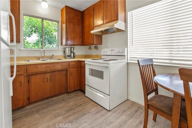 1022 Leff St, San Luis Obispo, CA 93401 - kitchen with white appliances, a sink, under cabinet range hood, light wood-type flooring, and brown cabinets