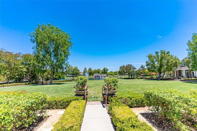 40365 Trenton Ct, Temecula, CA 92591 - view of green lawn