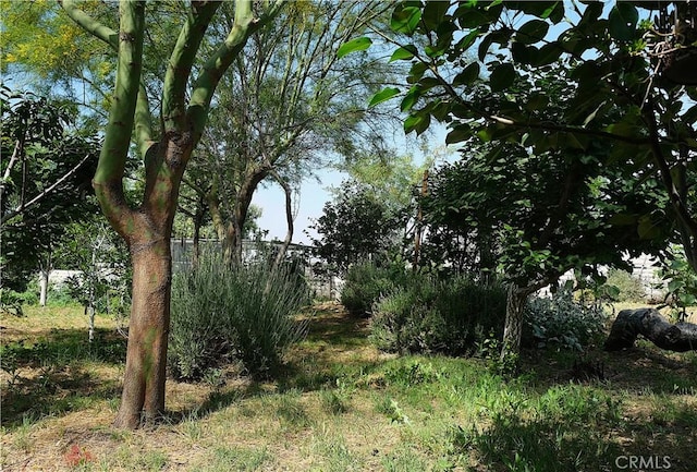 4527 Mockingbird Ln, Banning, CA 92220 - view of local wilderness