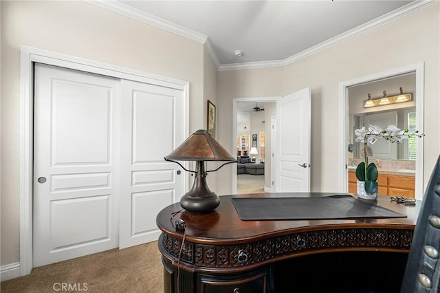 4802 Pentz Rd, Paradise, CA 95969 - office space featuring ornamental molding and carpet
