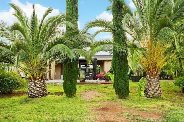 4802 Pentz Rd, Paradise, CA 95969 - view of green lawn
