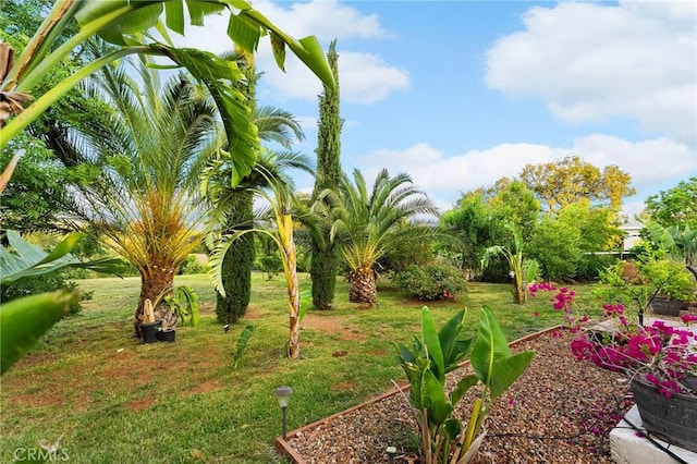 4802 Pentz Rd, Paradise, CA 95969 - view of grassy yard