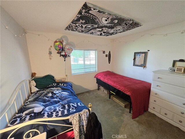 4280 County Rd N, Orland, CA 95963 - photo 36