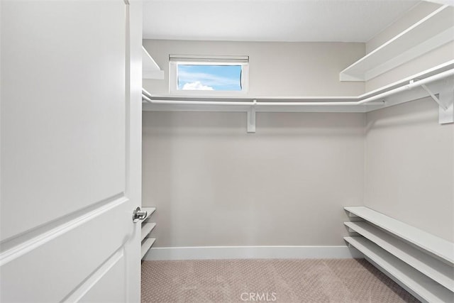 1890 Orange Ave, Costa Mesa, CA 92627 - spacious closet featuring carpet flooring