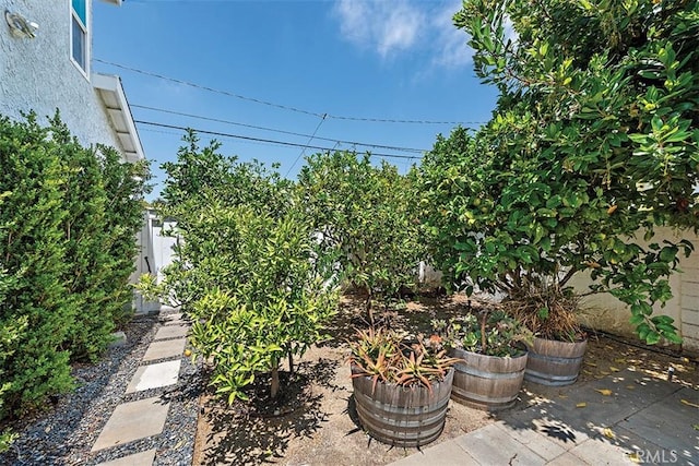 1890 Orange Ave, Costa Mesa, CA 92627 - view of yard