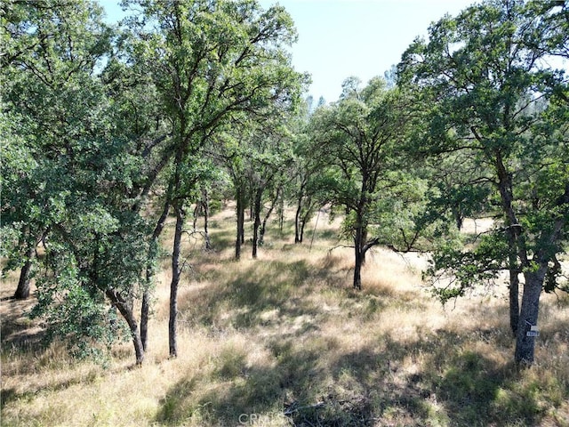 16625 Rancho Tehama Rd, Corning, CA 96021