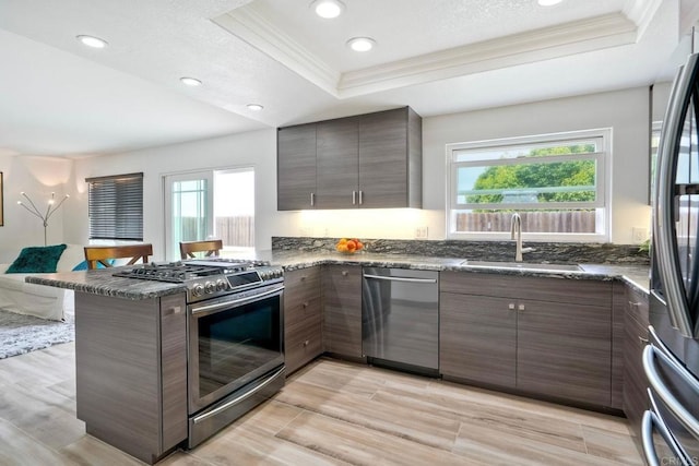 3332 Heather Ridge Ct, San Marcos, CA 92078 - kitchen featuring appliances with stainless steel finishes, crown molding, a raised ceiling, a sink, and a peninsula