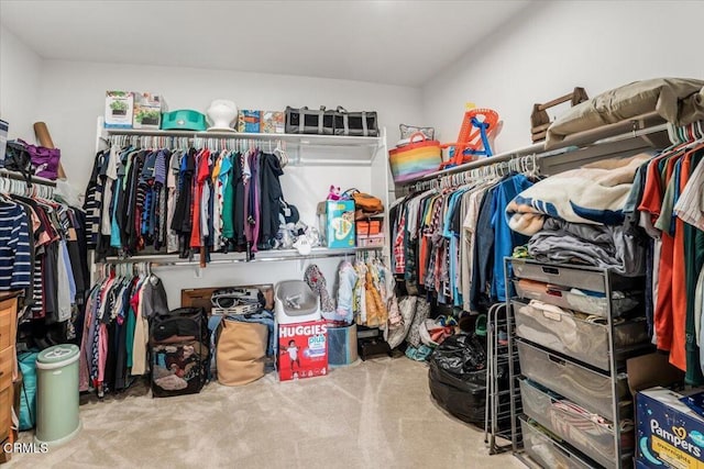2830 Wagon Wheel Rd Unit 304, Oxnard, CA 93036 - walk in closet featuring carpet flooring