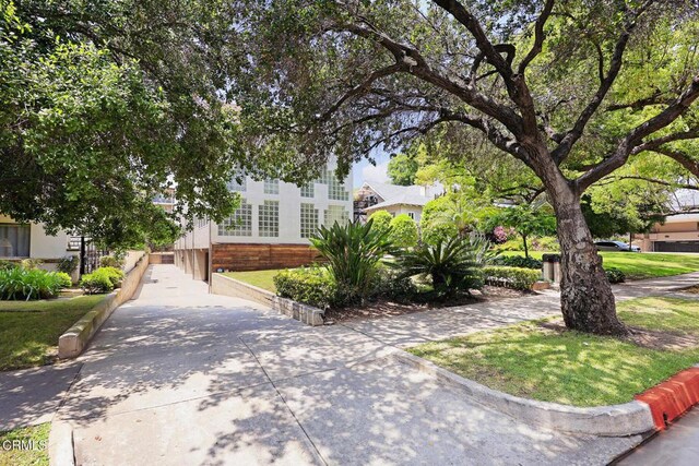 477 S Euclid Ave Unit A, Pasadena, CA 91101 - view of property hidden behind natural elements featuring brick siding and driveway