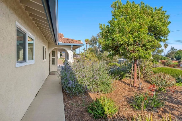 525 Hilo Way, Vista, CA 92081 - view of yard