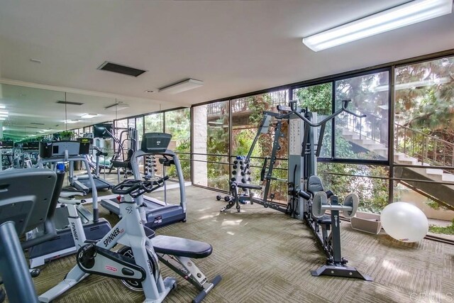 2500 Torrey Pines Rd Unit 1202, La Jolla, CA 92037 - gym featuring floor to ceiling windows and carpet floors