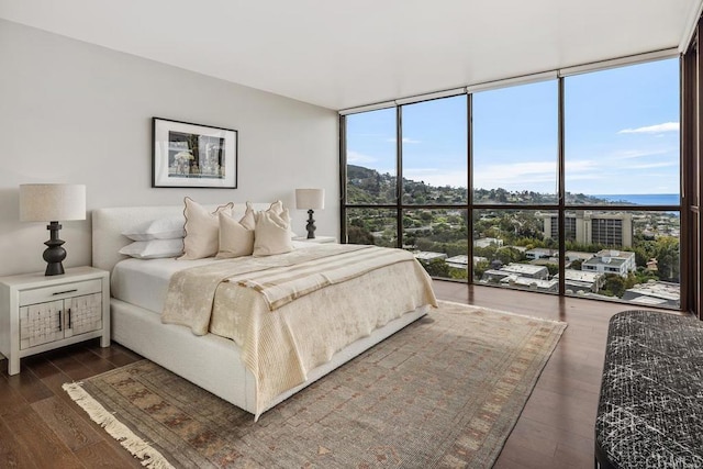 2500 Torrey Pines Rd Unit 1202, La Jolla, CA 92037 - bedroom featuring floor to ceiling windows and dark wood-style floors