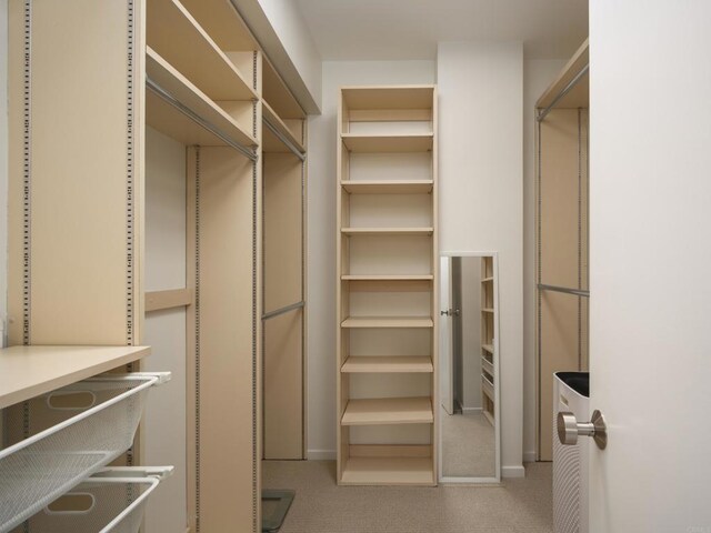 265 Coast Blvd Unit 9, La Jolla, CA 92037 - spacious closet featuring carpet flooring