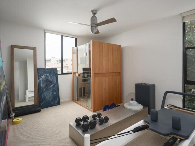 265 Coast Blvd Unit 9, La Jolla, CA 92037 - workout area featuring a ceiling fan and light colored carpet