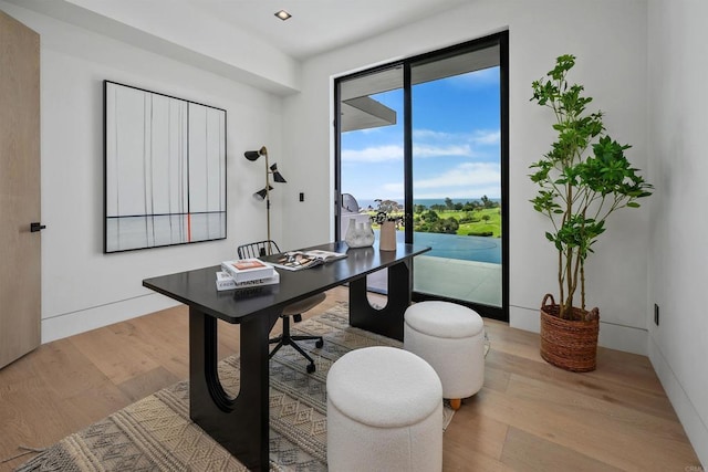 6627 Muirlands Dr, La Jolla, CA 92037 - office with light wood-style flooring