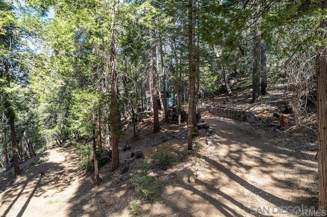 22230 Crestline Rd, Palomar Mountain, CA 92060 - view of yard with a wooded view
