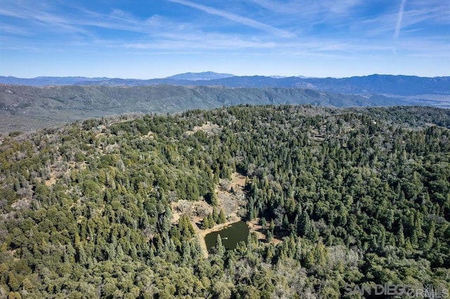 22230 Crestline Rd, Palomar Mountain, CA 92060 - view of mountain backdrop with a forest