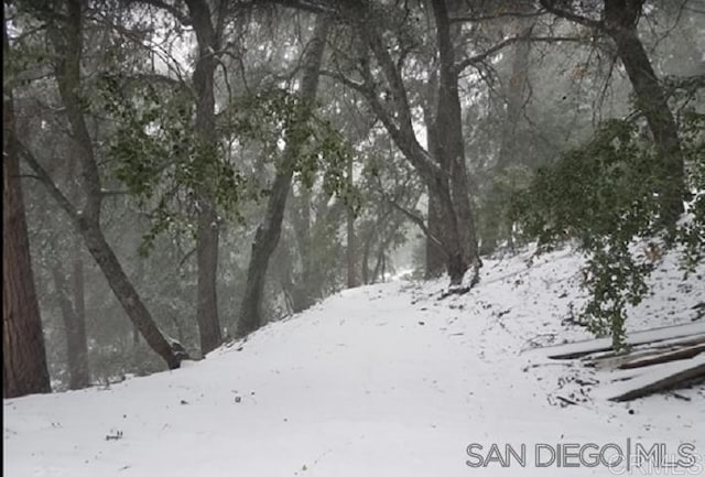 22230 Crestline Rd, Palomar Mountain, CA 92060 - view of snow covered land