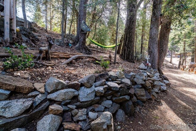 22230 Crestline Rd, Palomar Mountain, CA 92060 - view of yard