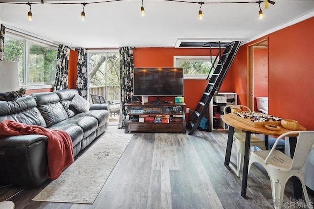 22230 Crestline Rd, Palomar Mountain, CA 92060 - living room featuring wood finished floors and plenty of natural light