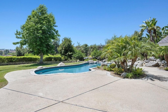 18 Gateview Dr, Fallbrook, CA 92028 - swimming pool featuring a patio area and a yard