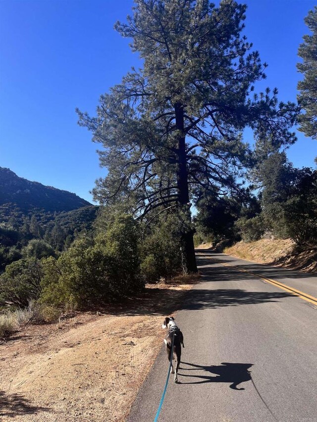 8606 Valley View Trl, Pine Valley, CA 91962 - view of asphalt street featuring a mountain view