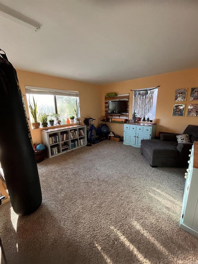 8606 Valley View Trl, Pine Valley, CA 91962 - living room with carpet