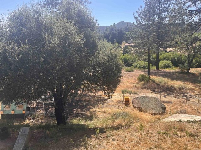8606 Valley View Trl, Pine Valley, CA 91962 - mountain view