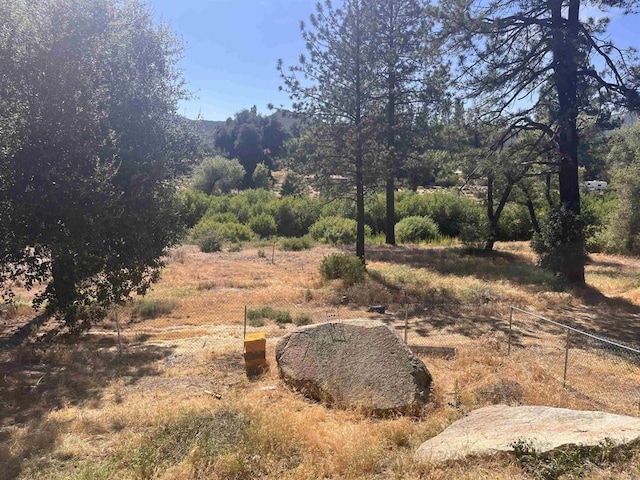 8606 Valley View Trl, Pine Valley, CA 91962 - view of nature
