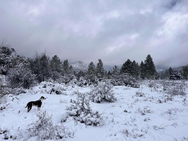 8606 Valley View Trl, Pine Valley, CA 91962 - snowy landscape