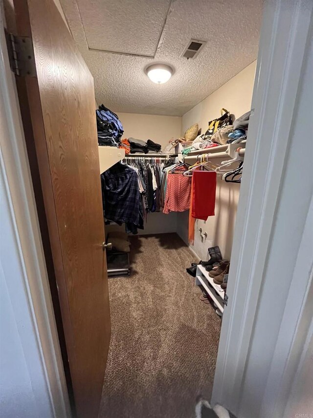 8606 Valley View Trl, Pine Valley, CA 91962 - walk in closet with carpet flooring