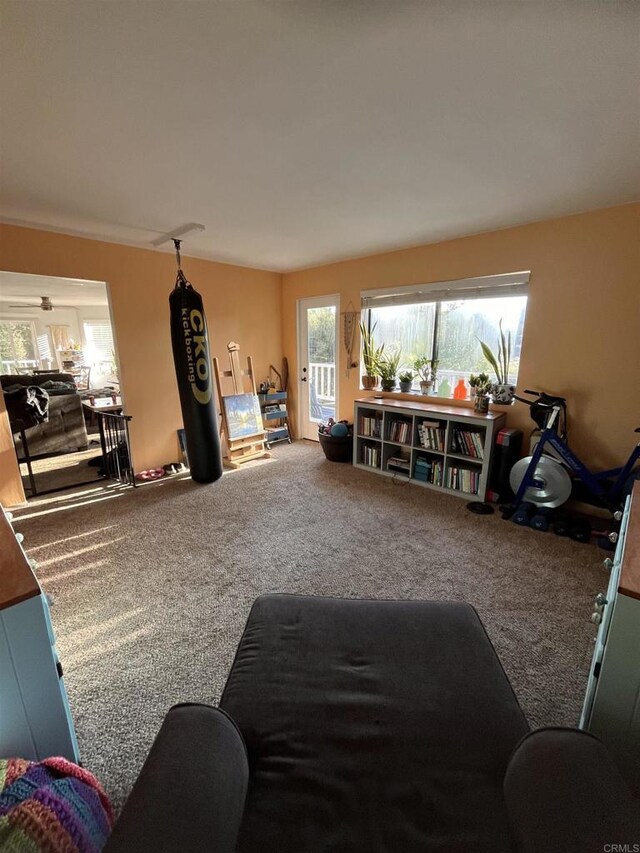 8606 Valley View Trl, Pine Valley, CA 91962 - living room featuring carpet flooring